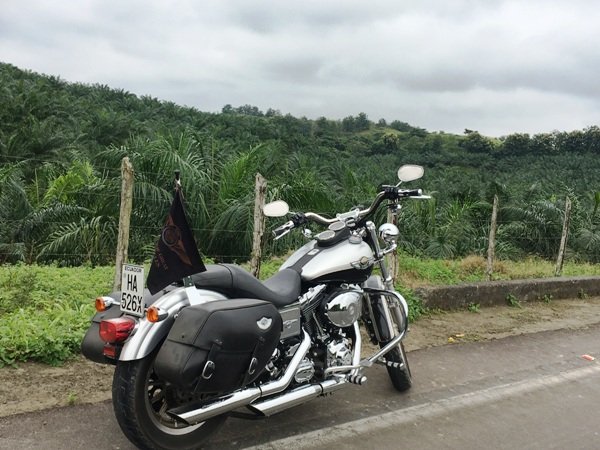 [PD] Harley Davidson - 0006